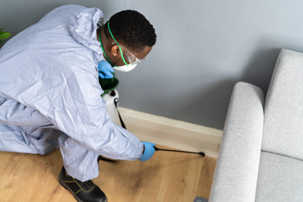 Best Bed Bug Extermination  in Miami Beach, FL